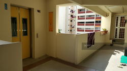 Blk 845 Tampines Street 83 (Tampines), HDB 4 Rooms #139894272